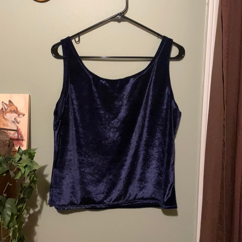 Vintage velour top